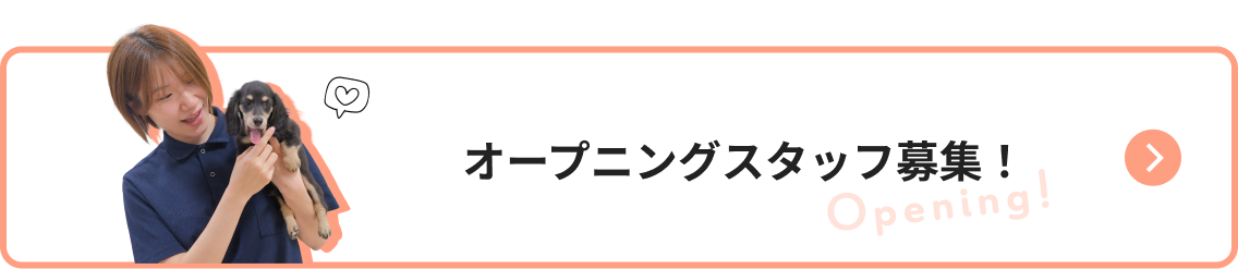 オープニングスタッフ募集！