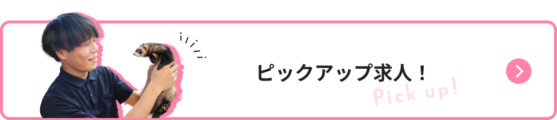 ピックアップ求人！